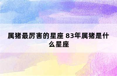 属猪最厉害的星座 83年属猪是什么星座